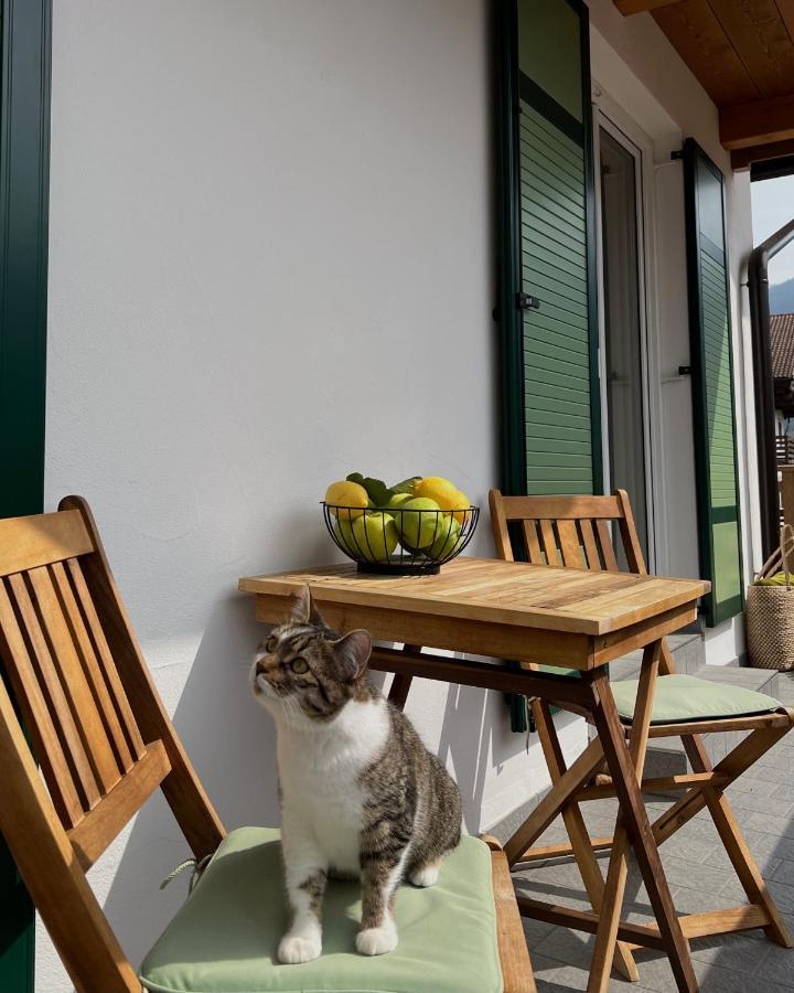 B&B La Casa Del Sole Ziano di Fiemme エクステリア 写真